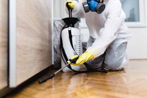 Best Best Pest Control Companies  in Colorado City, TX