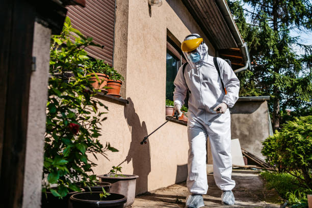 Best Ant Control Services  in Colorado City, TX