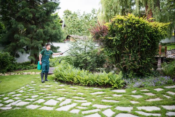 Best Best Pest Control Companies  in Colorado City, TX