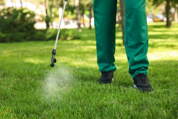 Best Pest Inspection Near Me  in Colorado City, TX