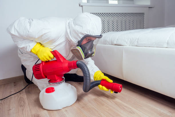 Best Termite Control Services  in Colorado City, TX