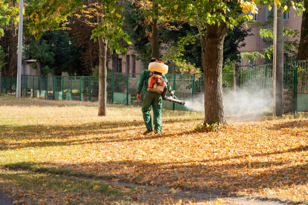 Colorado City, TX Pest Control Company