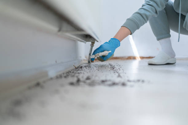 Best Commercial Pest Control Services  in Colorado City, TX