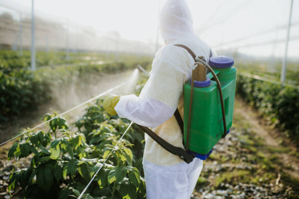 Best Commercial Pest Control Services  in Colorado City, TX